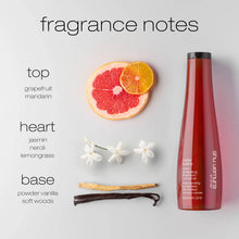 Load image into Gallery viewer, color lustre limited-edition gift set from Shu uemura