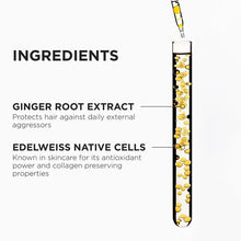 Load image into Gallery viewer, Genesis Luxury Holiday Gift Set from Kerastase
